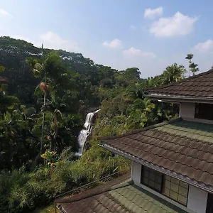 The At Kulaniapia Falls Hilo