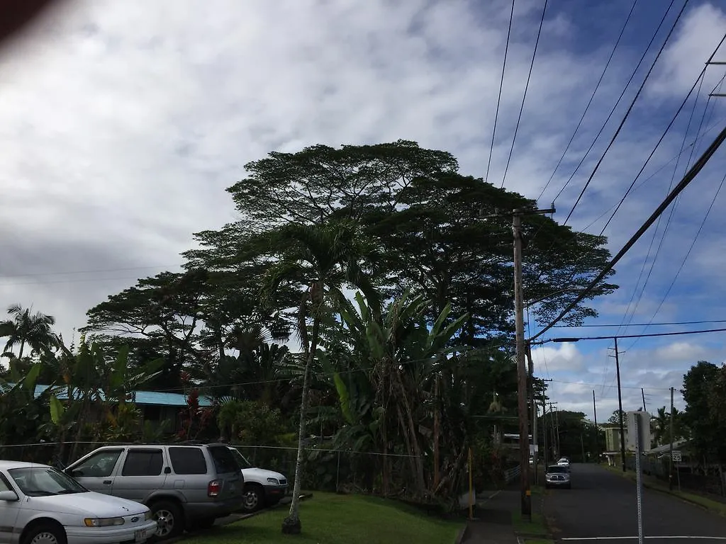 Wild Ginger Inn Hotel & Hostel Hilo 2*,