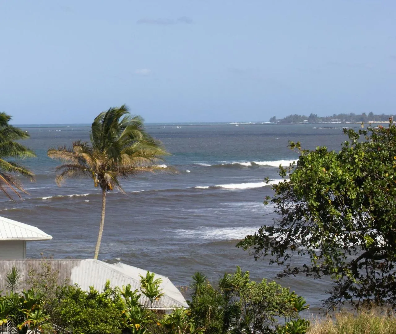 Wild Ginger Inn Hotel & Hostel Hilo